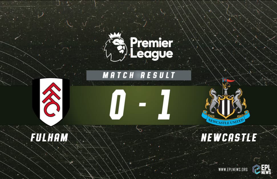 Informe Fulham vs Newcastle