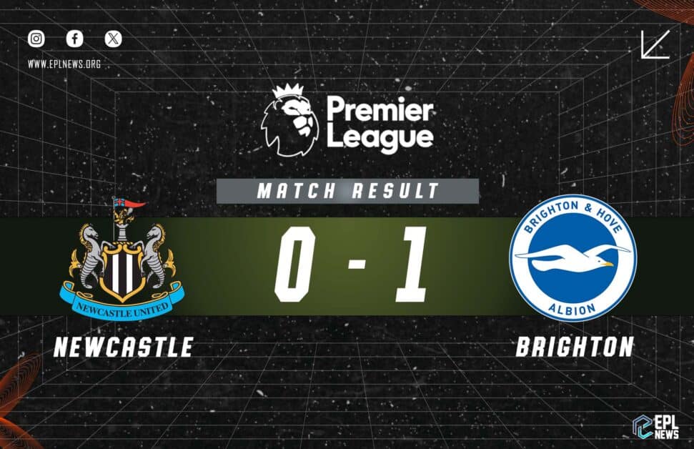 Informe Newcastle vs Brighton 0-1