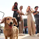 ¡Leo conoce sus ángulos!